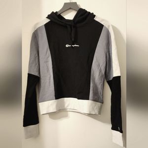 Champion hoodie, nwot 
